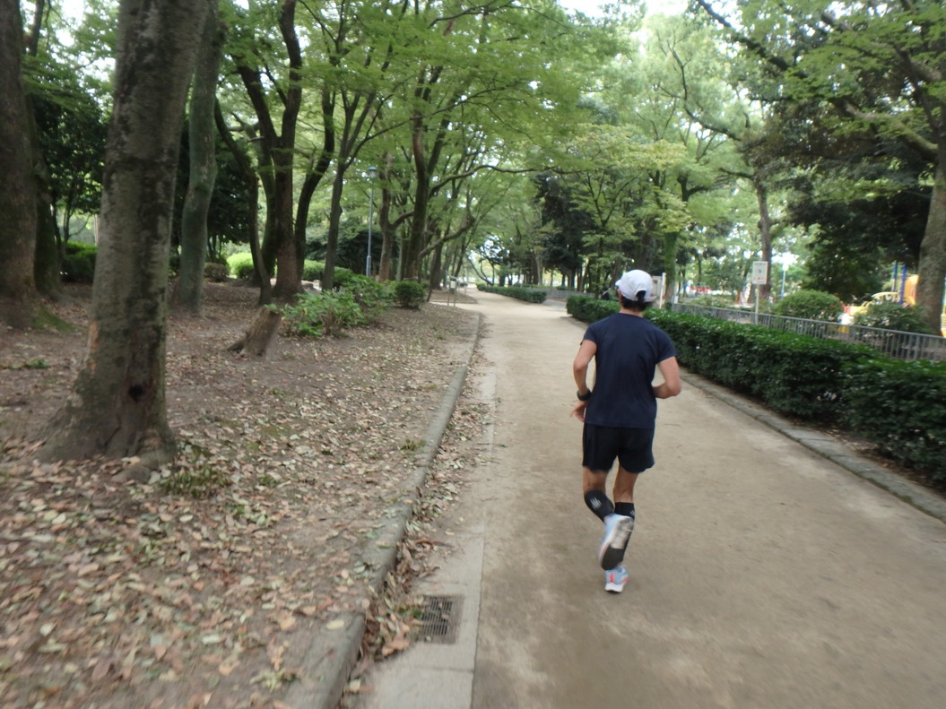 名城公園を走るならココ ランニングサポート施設 さら名城 と周辺ランニングコース トレーニング スポーツ Melos