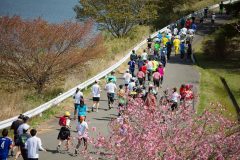 東北の“美味い”を楽しむファンランイベント「東北風土マラソン」は、どのようにして生まれたのか？