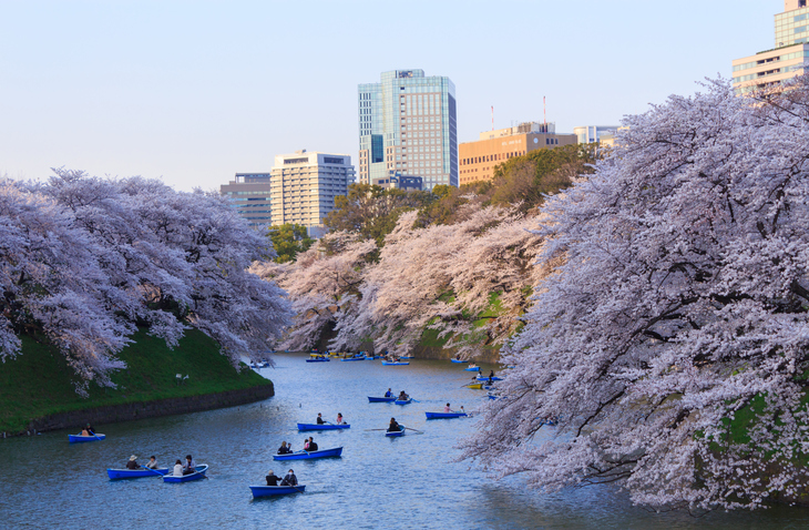 桜の名所を走る 東京都内のお花見ランニング ジョギングコース5選 趣味 スポーツ Melos