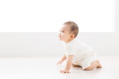 ハイハイ期間が短い赤ちゃんは、手の感覚が身につきにくい？