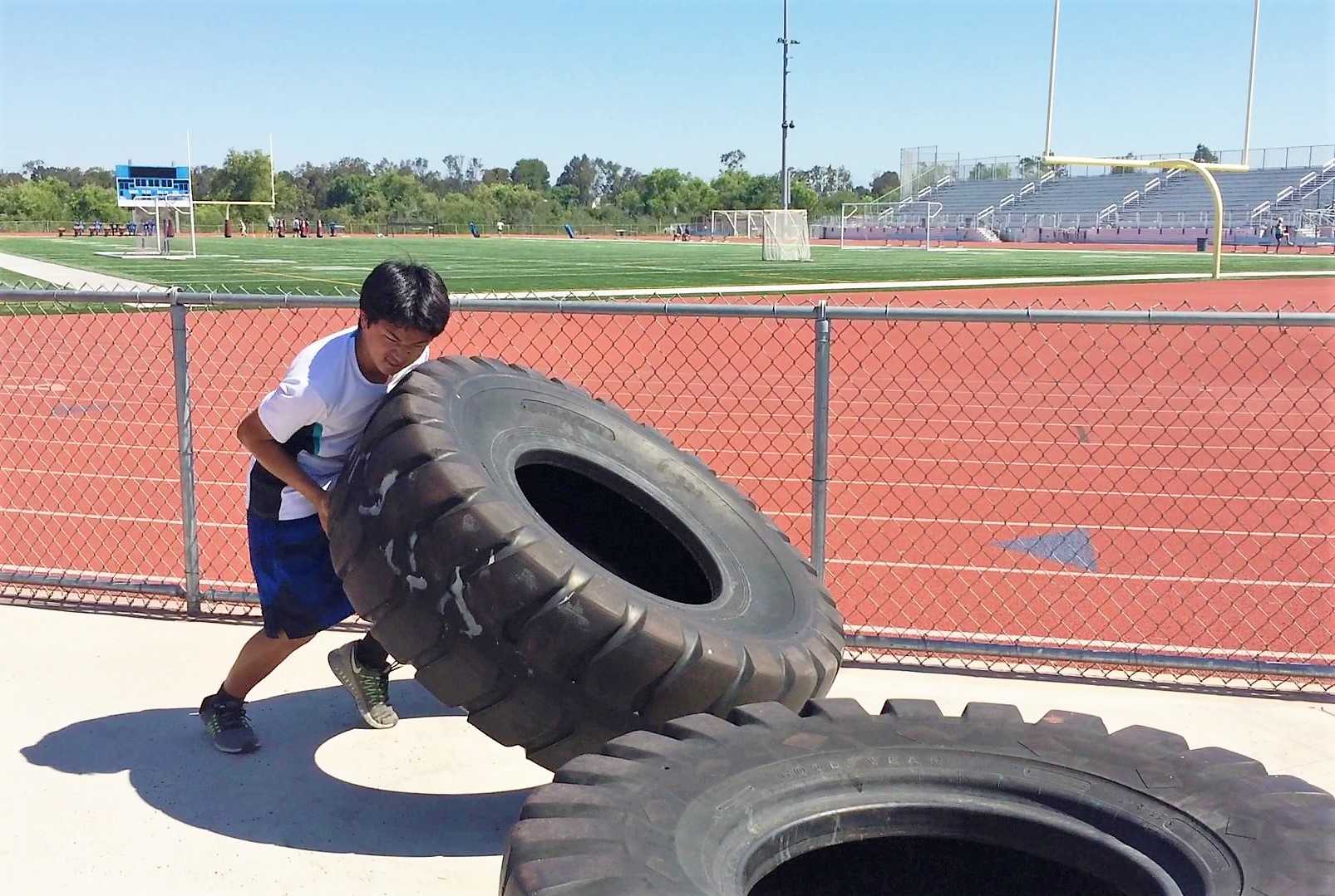 映画ロッキー流の筋トレ タイヤや丸太 石を使って体を鍛えまくる方法 トレーニング スポーツ Melos
