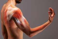 「筋肉痛」はなぜ起きる？痛みの予防方法は？筋肉痛のよくあるギモンも解説