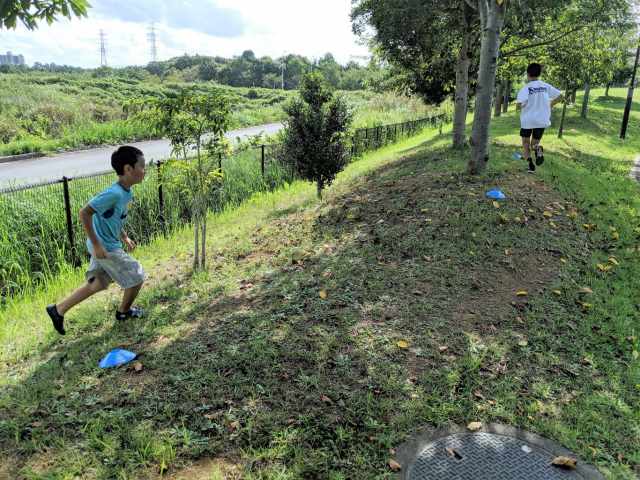 不整地を走るマラソントレーニング ファルトレク とは 効果とやり方 練習場所 子育て トレーニング スポーツ Melos