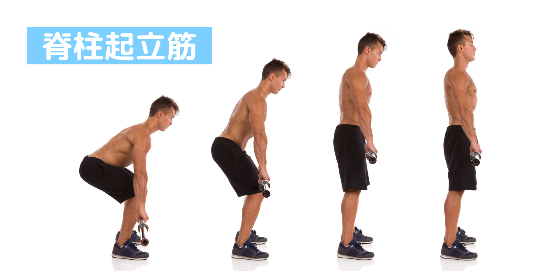 背中の筋肉 脊柱起立筋 腸肋筋 最長筋 棘筋 の鍛え方 おすすめ筋トレメニューと効果を高めるポイント トレーニング スポーツ Melos