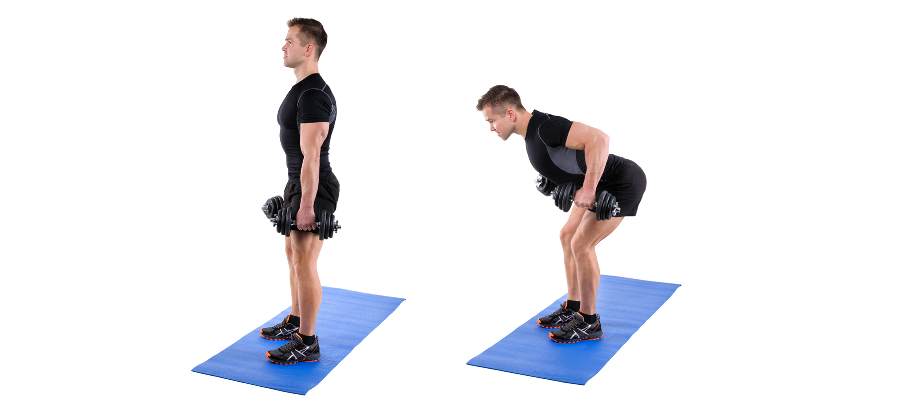 背筋 は部位別に筋トレせよ 背中の筋肉 広背筋 脊柱起立筋 僧帽筋 を鍛えるダンベルトレーニング5選