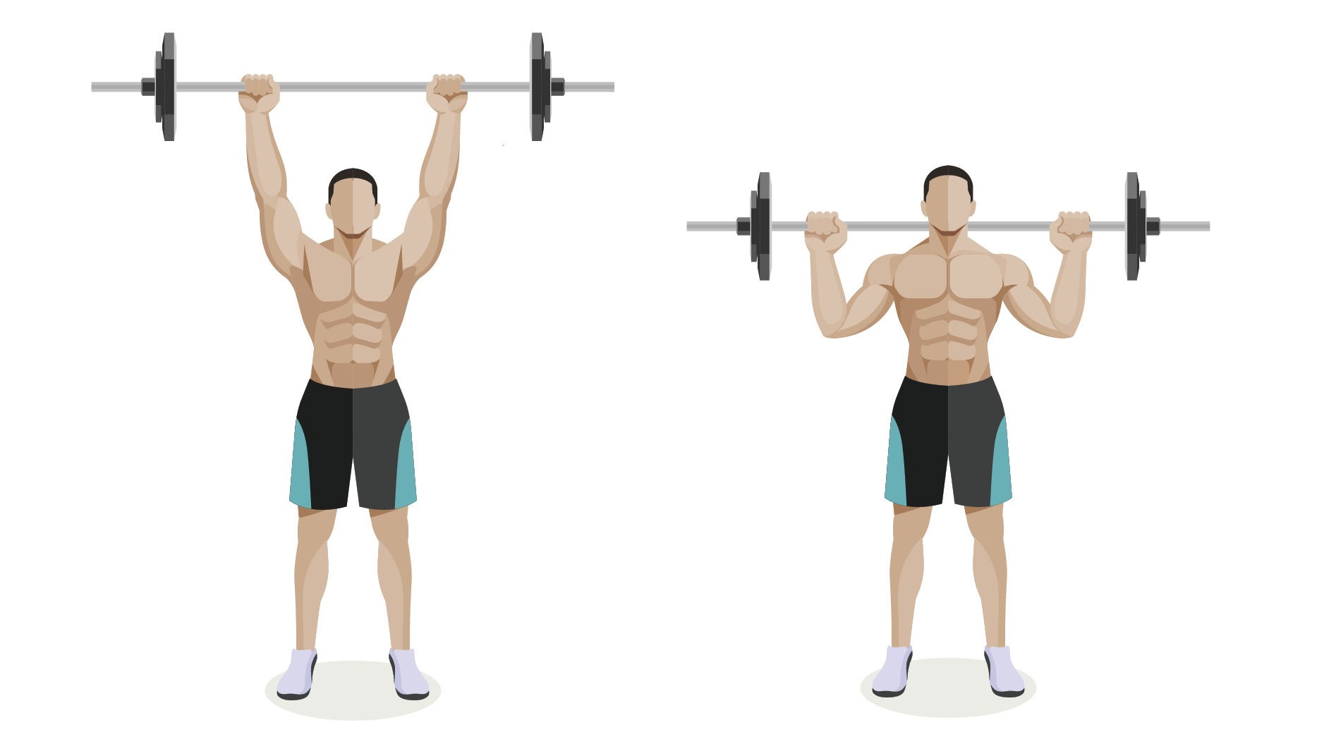 肩を大きく丸くするには 肩の筋肉 三角筋 を鍛える筋トレ 効果を高めるポイント トレーニング スポーツ Melos