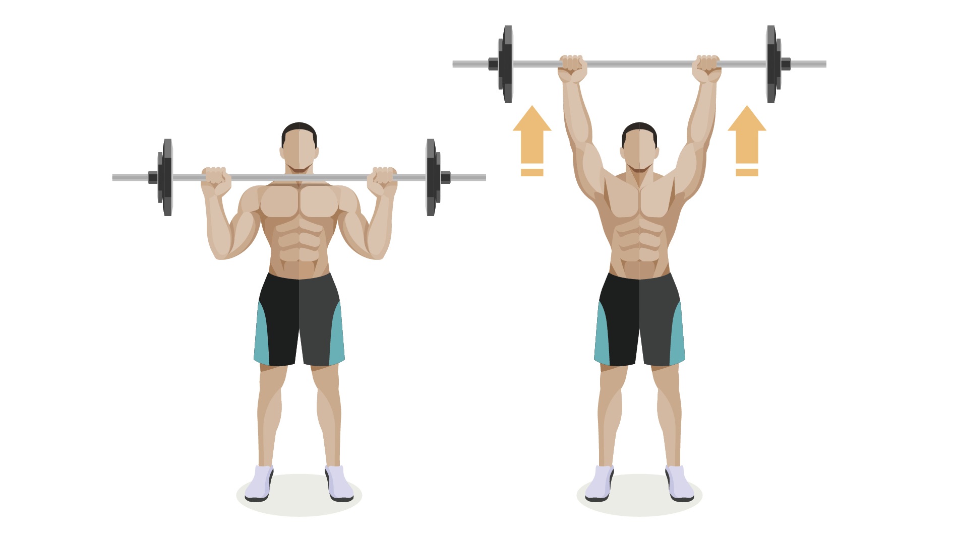 肩を大きく丸くするには 肩の筋肉 三角筋 を鍛える筋トレ 効果を高めるポイント トレーニング スポーツ Melos