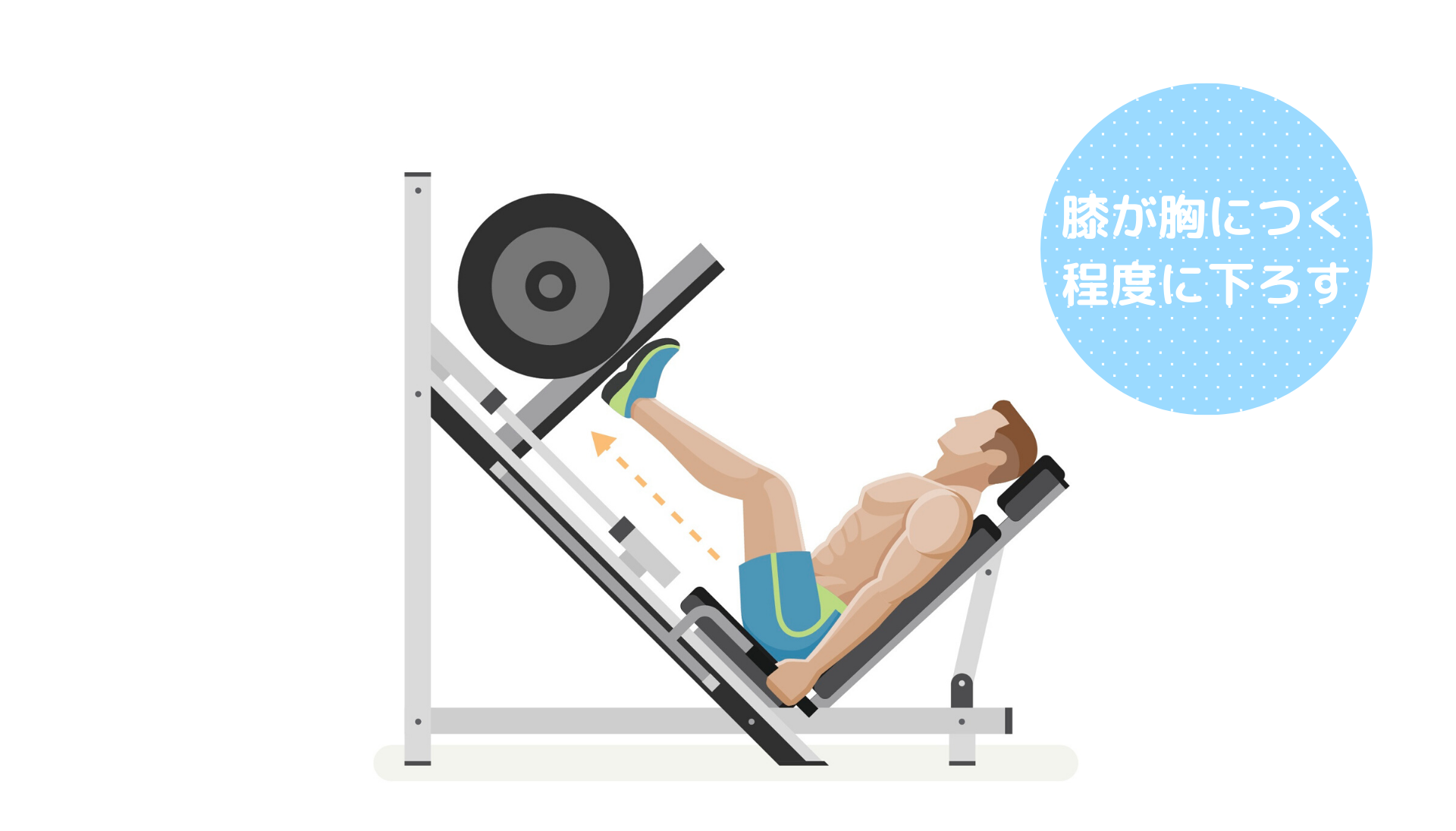 太ももの前側の筋肉 大腿四頭筋 の鍛え方 おすすめ筋トレメニューと効果を高めるポイント トレーニング スポーツ Melos 太ももの前側の筋肉 大腿四頭筋 の鍛え方 おすすめ筋トレメニューと効果を高めるポイント トレーニング スポーツ Melos