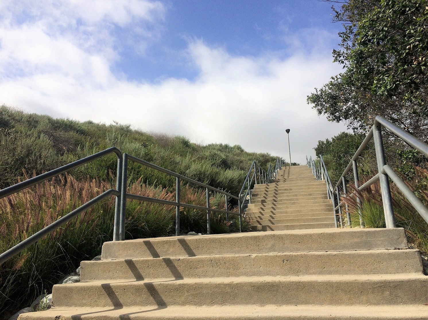 階段走り のダイエット効果とは 階段を走るメリット やり方 注意点