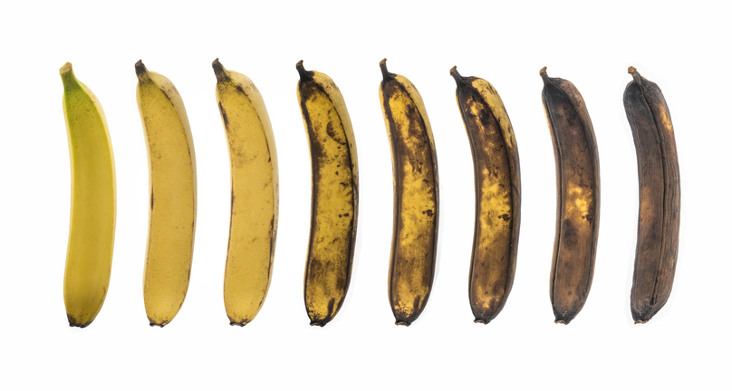 バナナ 栄養 成分 表
