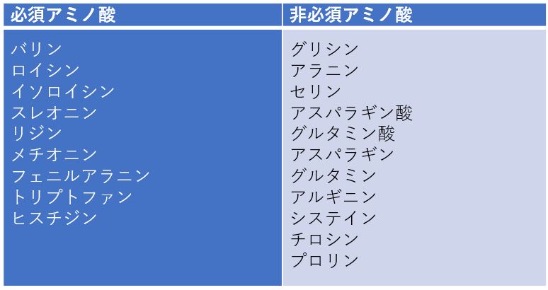 アミノ酸とは。種類と働き、必須アミノ酸の1日摂取量│管理栄養士の食 