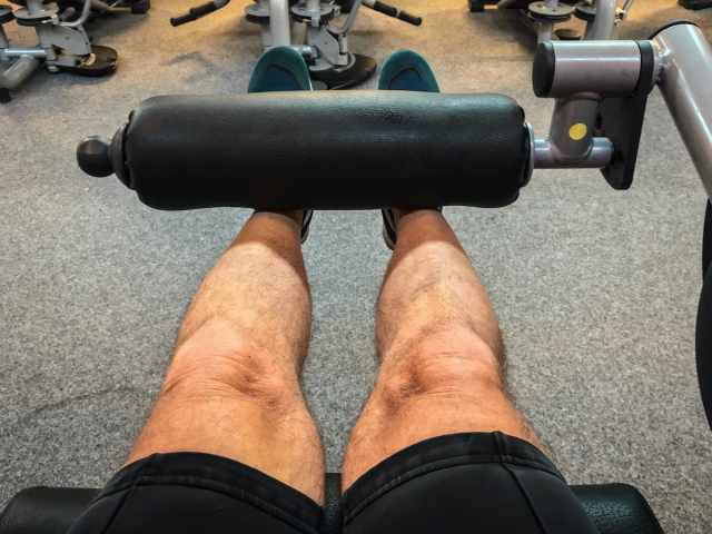 筋を伸ばして 筋トレすると 筋肥大効果が高まる 立命館大学研究グループが発見 トレーニング スポーツ Melos