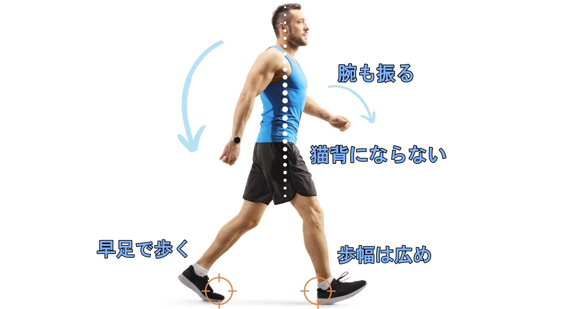 ない ジョギング ダイエット 痩せ ウォーキングは痩せない？ ダイエットに効果的な「歩く」運動法