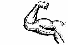 筋肉の種類と働き｜筋トレやストレッチをもっと効果的にする知識