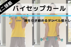 二の腕に効く！太くたくましい腕を手に入れるダンベル筋トレ