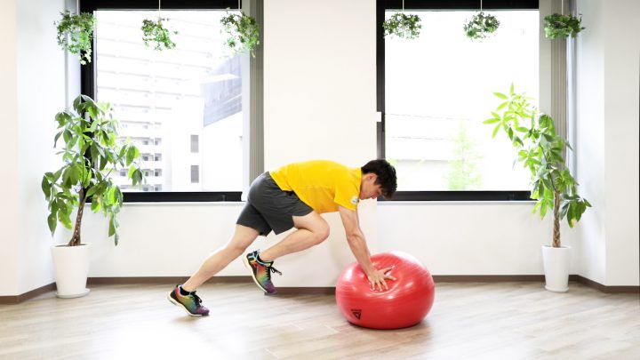 毎日3分の代謝アップトレーニング バランスボールを使って体幹を鍛える トレーニング スポーツ Melos