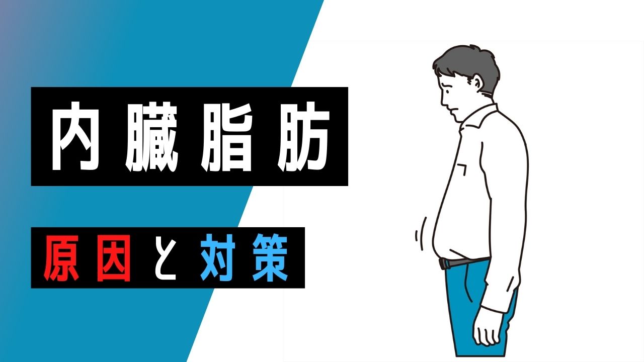 内臓脂肪 とは 皮下脂肪との違い もっとも効果的に減らす運動 落とし方のコツ 医師監修