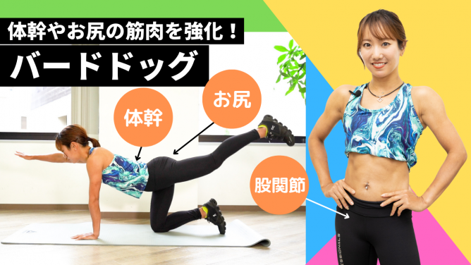 適切なテクニックとアライメントのヒント