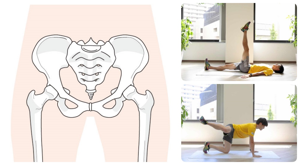 股関節の絵とトレーニング画像