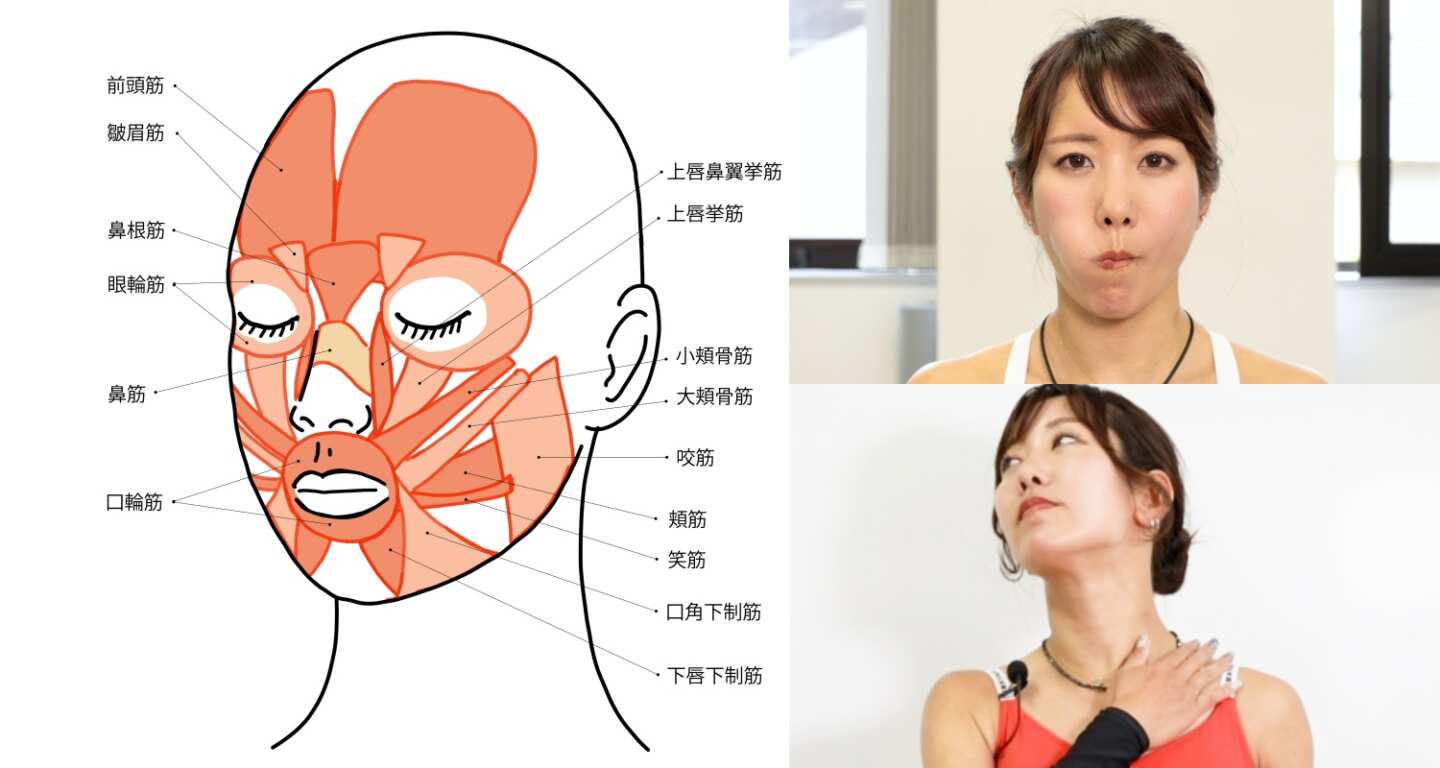 顔の筋肉が勝手に動く _ 顔の筋肉がひきつる _ 大阪で顔面痙攣の治療なら『天王寺だい脳神経外科』 – FUNM