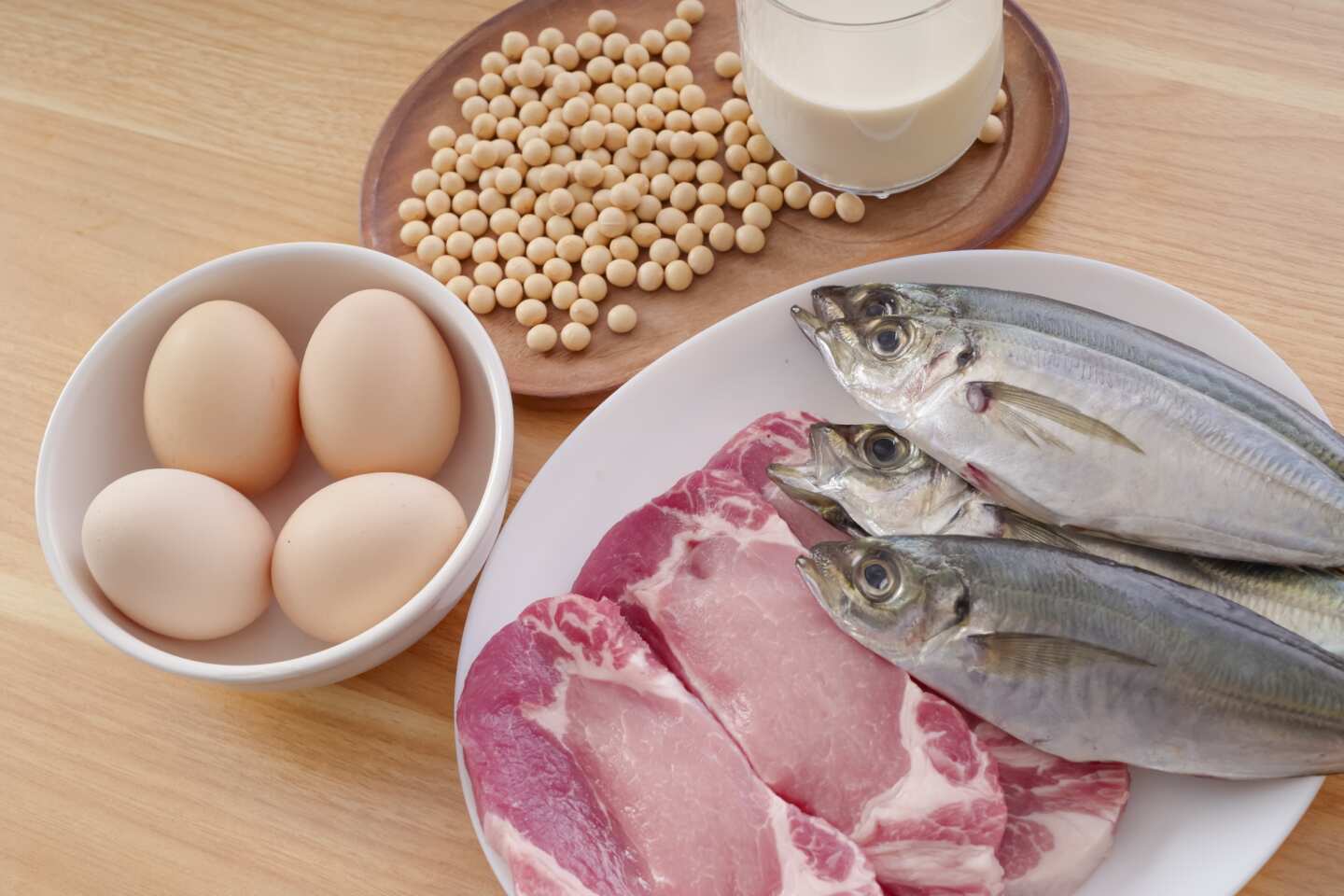 【タンパク質の多い食べ物ランキング】最強食材はどれだ！タンパク質量・コスパ・買いやすさから選んだTOP10