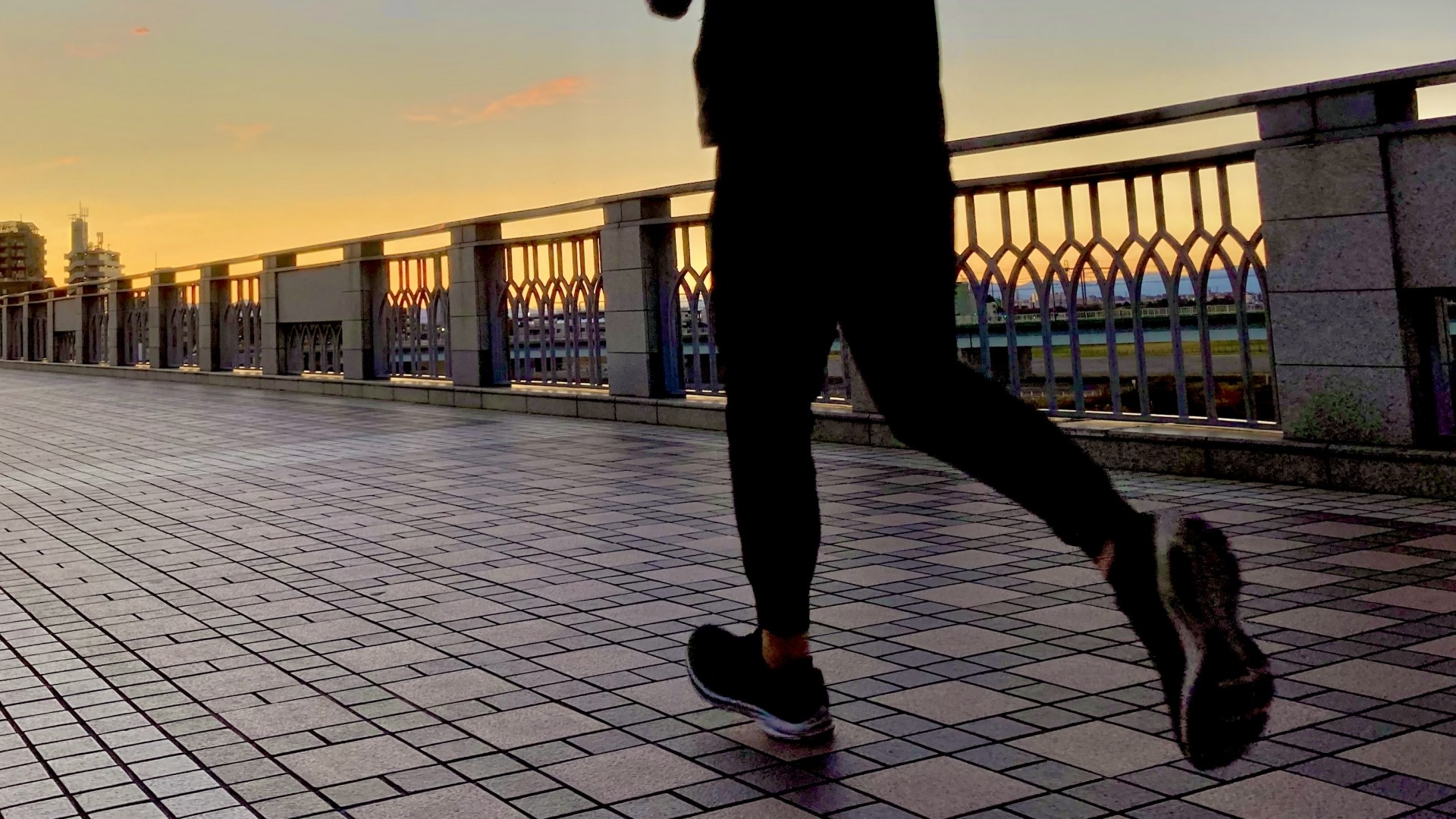 朝昼夜ジョギング