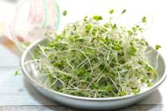 ブロッコリースプラウト