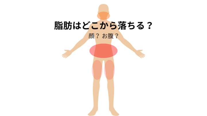 脂肪はどこから落ちる？
