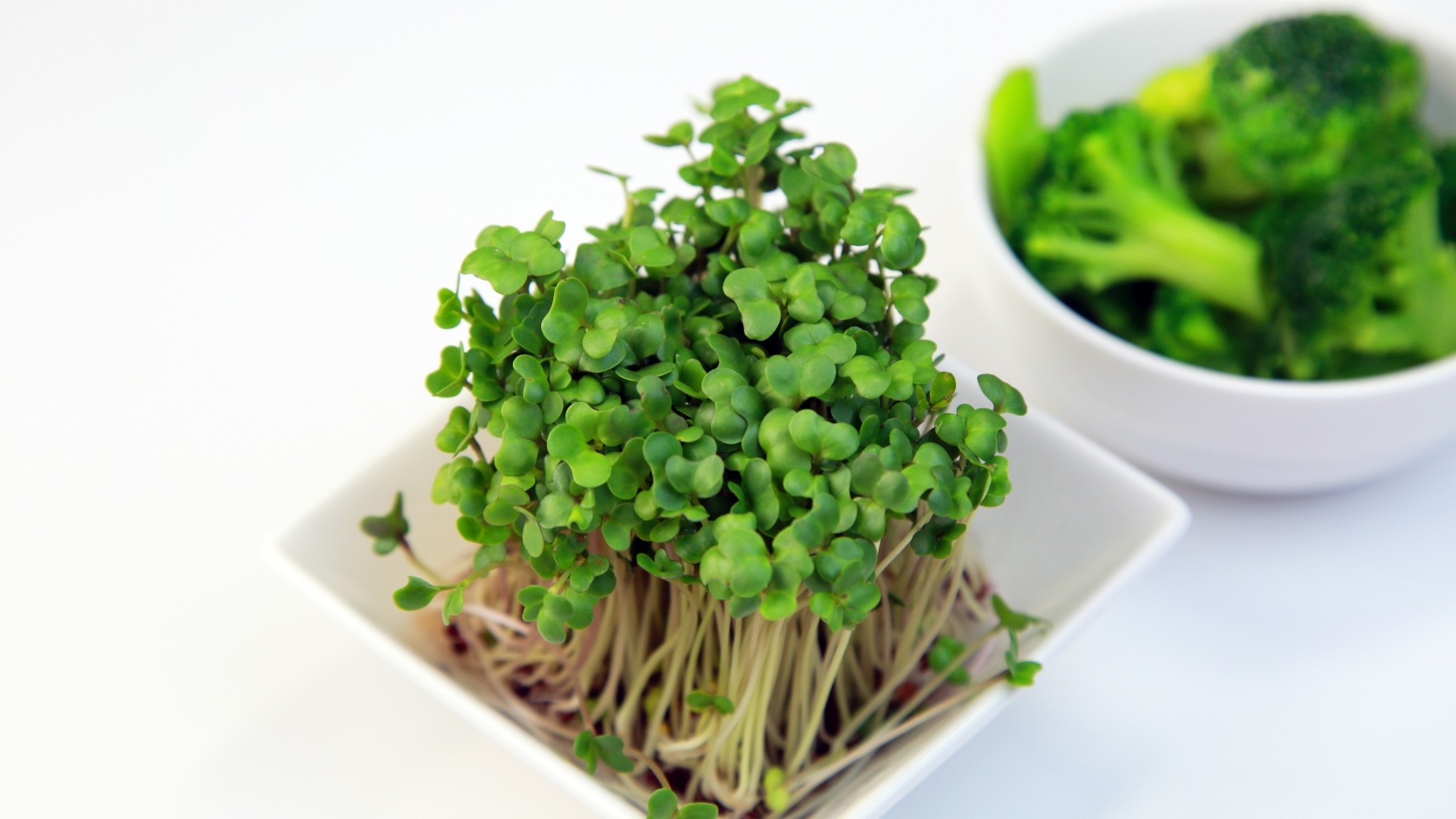 ブロッコリースプラウト