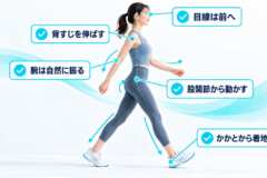 ウォーキングの正しい歩き方