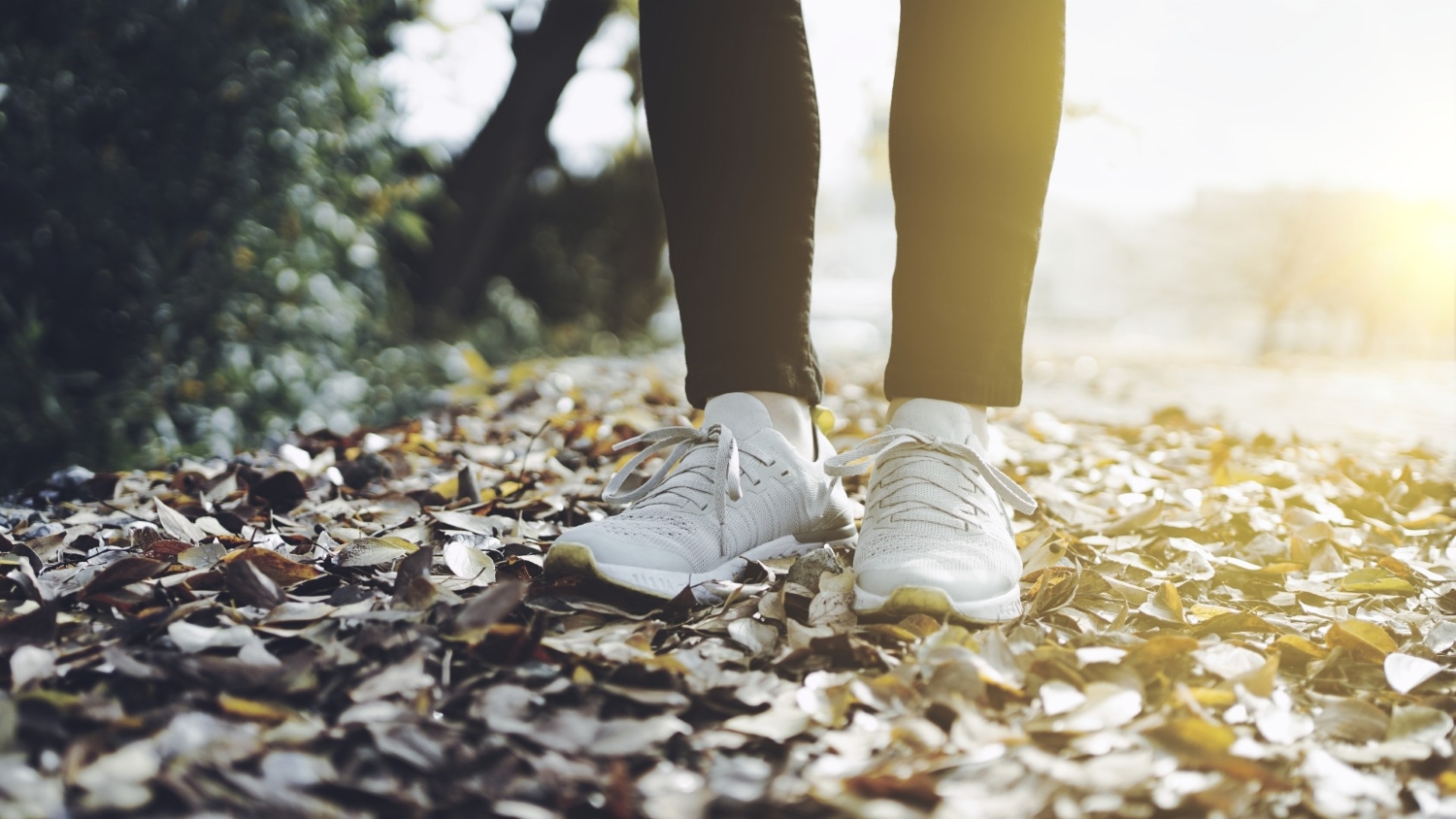 朝ウォーキング
